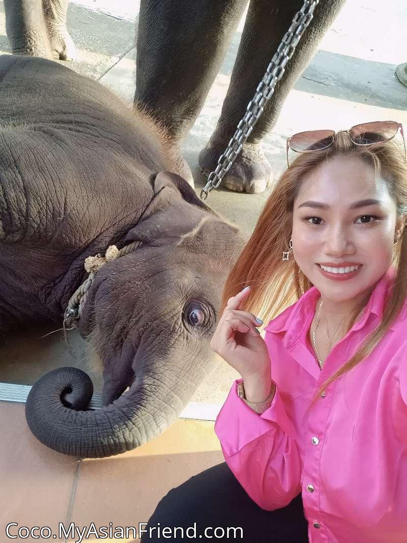 Coco's personal blog photo 1 added Thursday the 23rd of May 2024